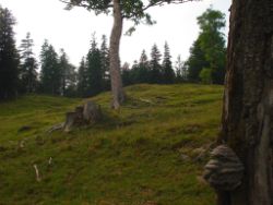 2013-07-20_Regina-F-Rau_Kochel-Rabenkopf (362).JPG